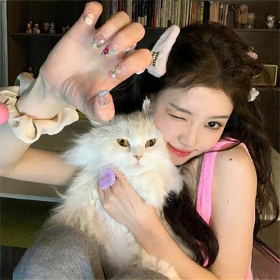 猫咪心动奇迹